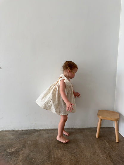 GOLDIE DRESS | WHIMSY RED